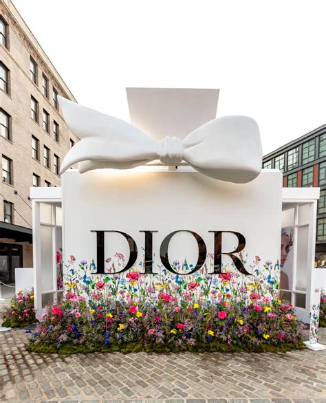 iconic dior fragrances|dior perfume online shop.